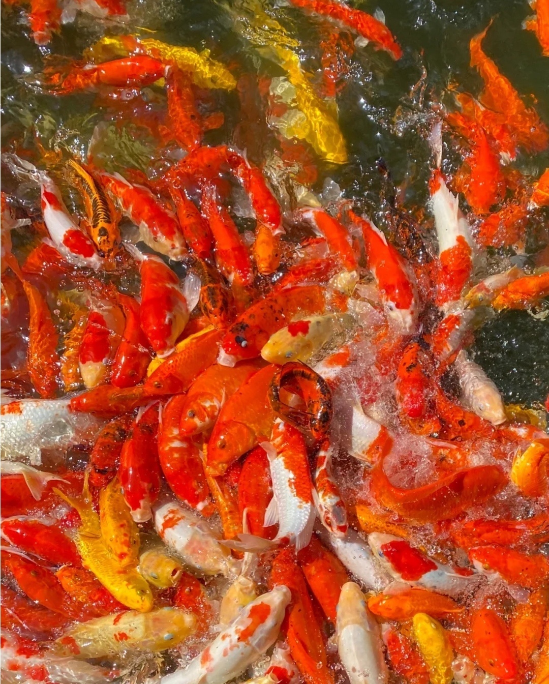 水逆水逆快走开🙌🏻 