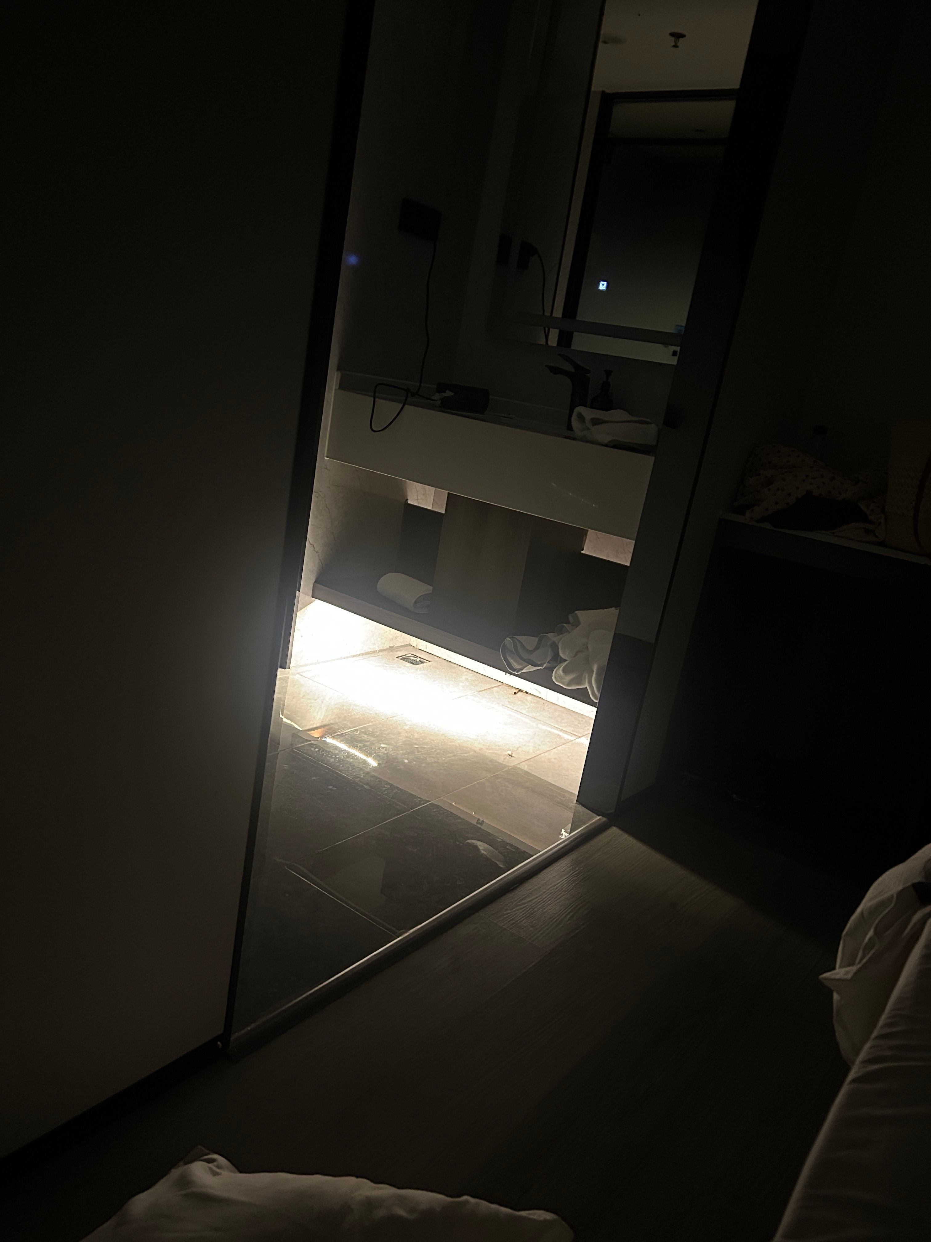说个离谱的事，昨晚和雨丝老师吃完饭就回酒店了，在宝安住的，第一个酒店跟线上描述基