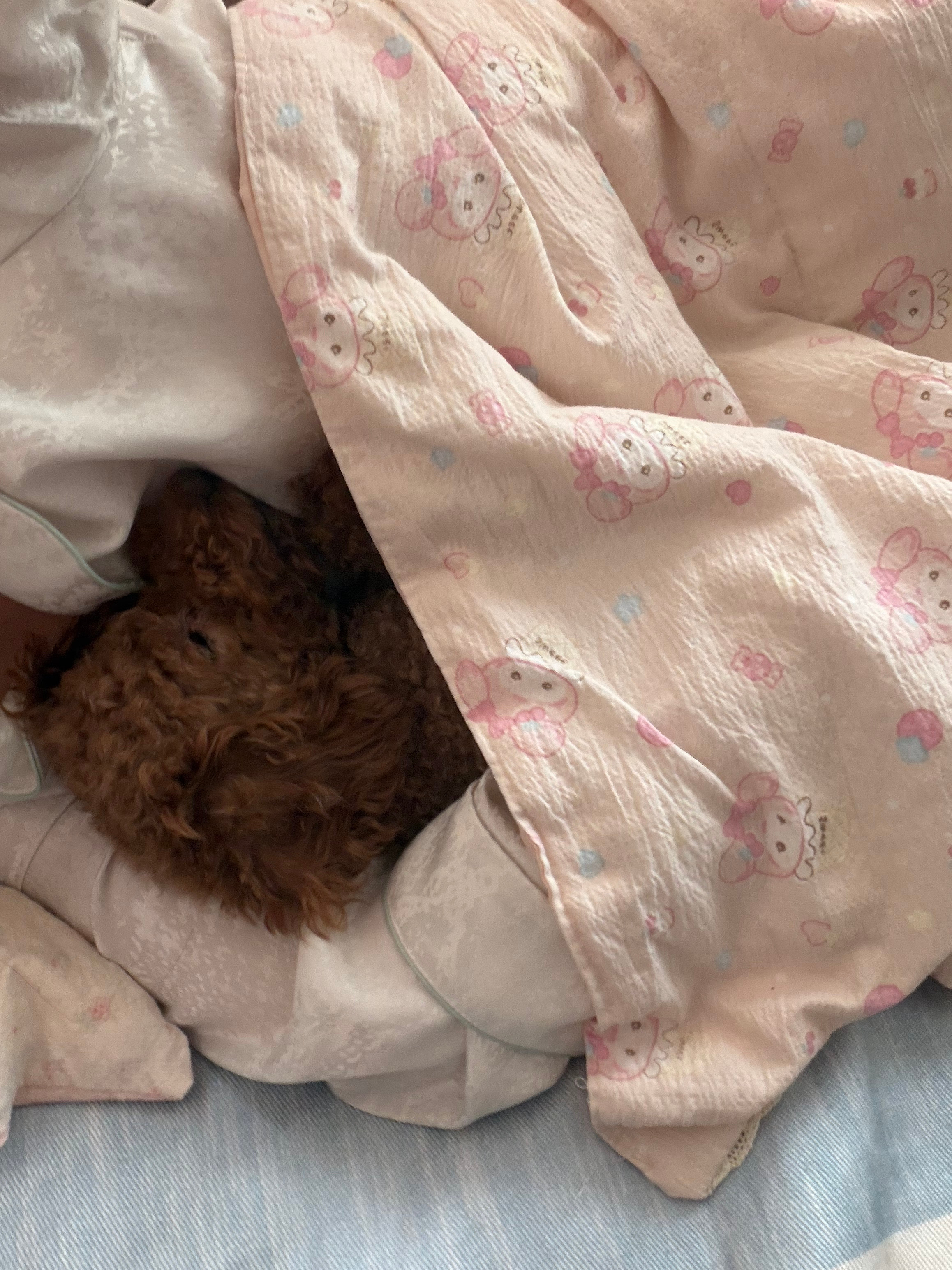 简直就是小宝宝 