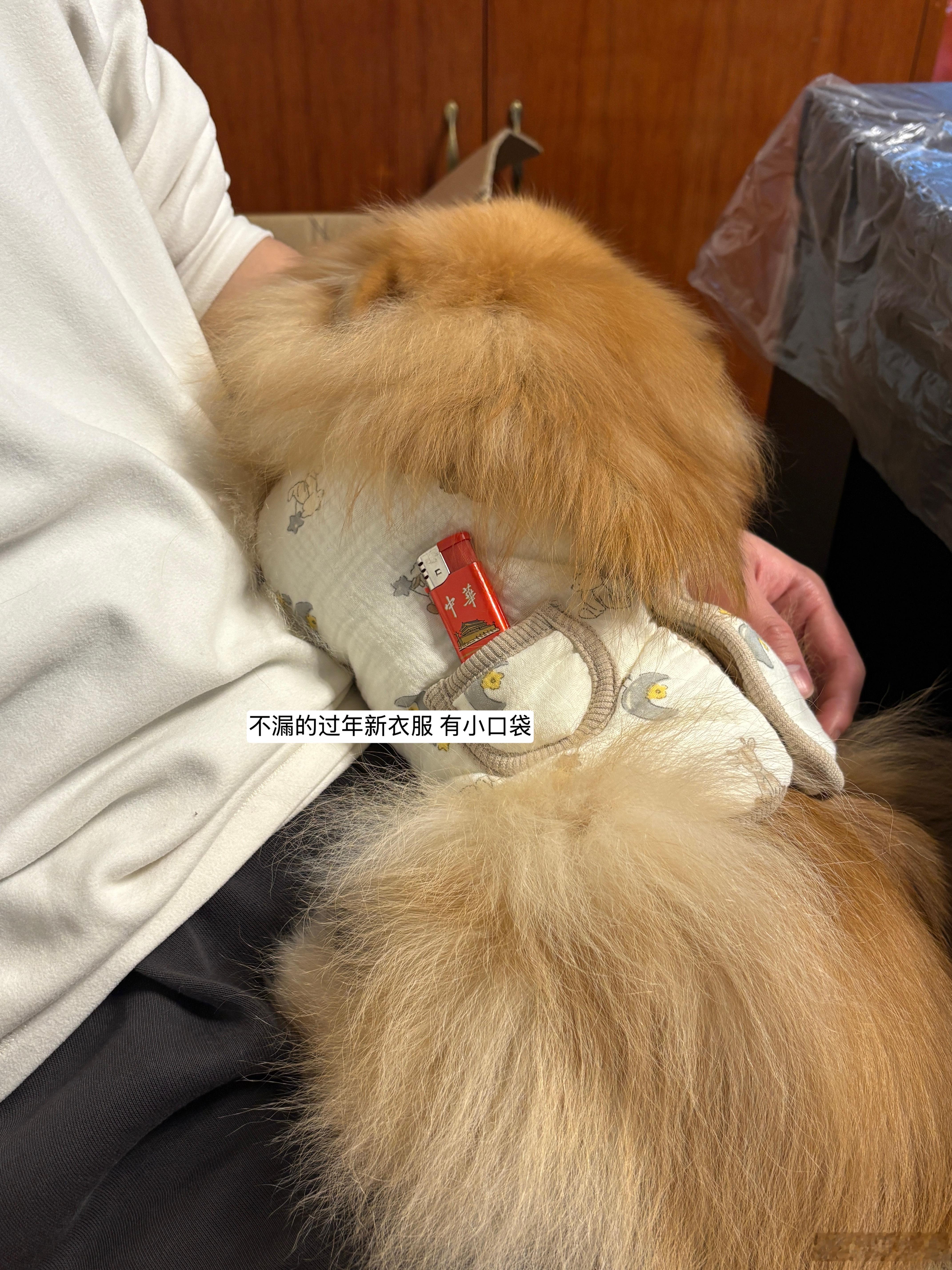 嘻嘻 过了一个不更新的春节跟家人都见了面lalala～ 