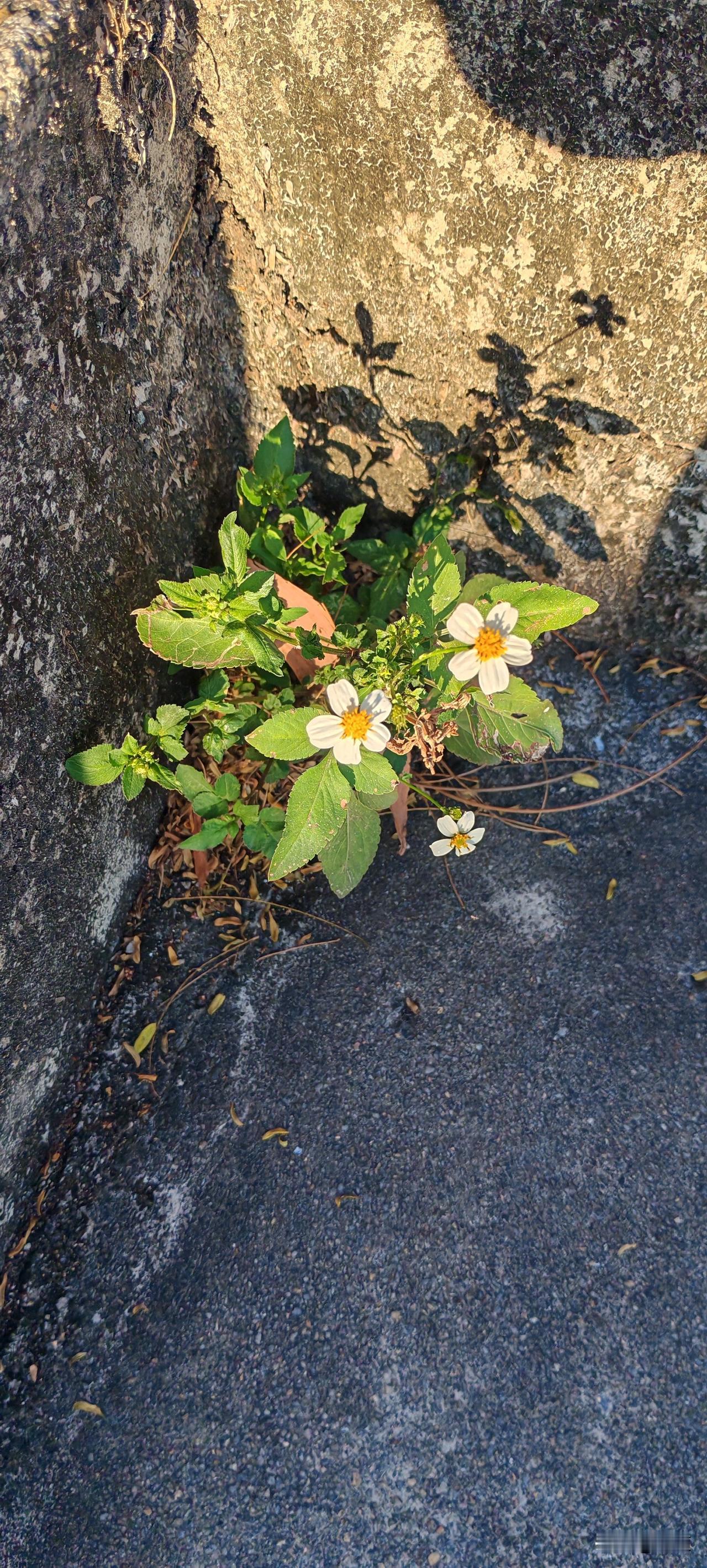 生活虐我千百遍，我待生活如初恋。一个字爱！俩字，热爱！仨字，就是热！
和谁过不去