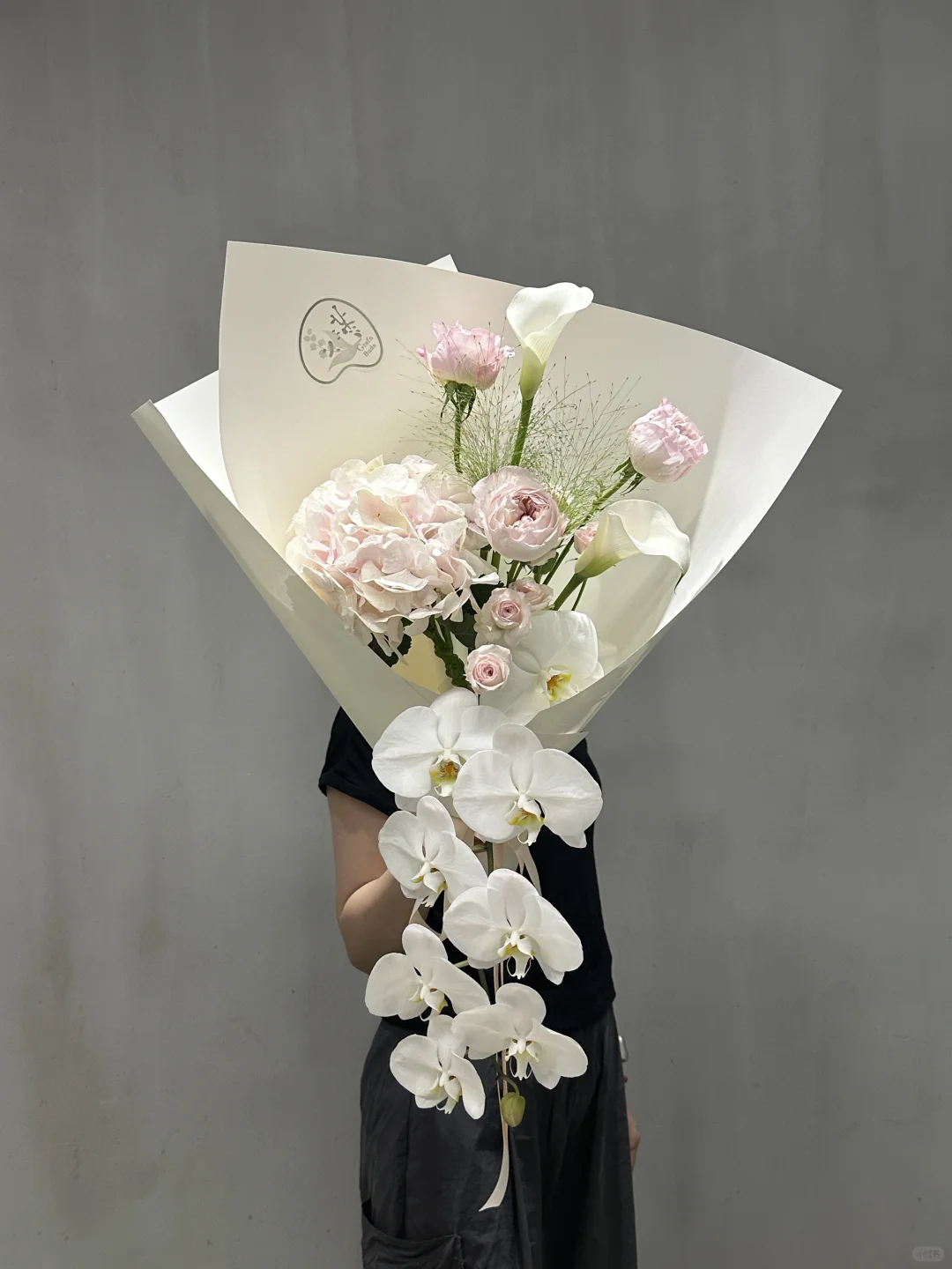 拖着长长尾巴的蝴蝶兰