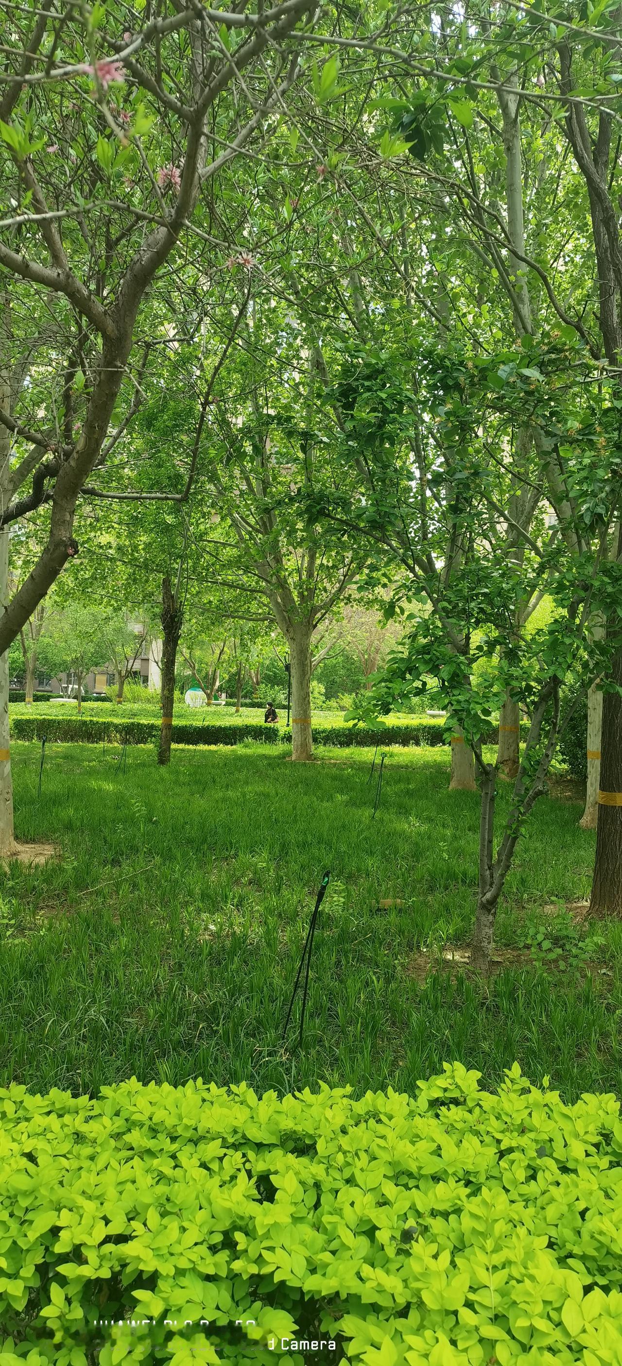 记录一下今天的小确幸！
昨天发了一篇微头条《台媒称，日本军舰过航台湾海峡亏大了！