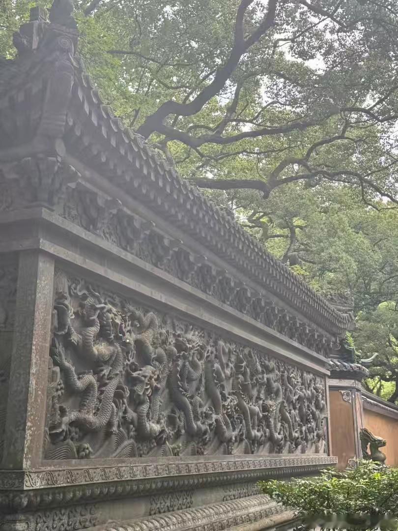 梦参老和尚禅语 吃东西和睡眠时 这种现象就是放逸（梦参老和尚）普陀山[超话] ​