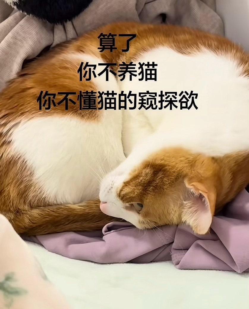 [吐舌][吐舌][我想静静][我想静静][憨笑][憨笑][看][看] ​​​