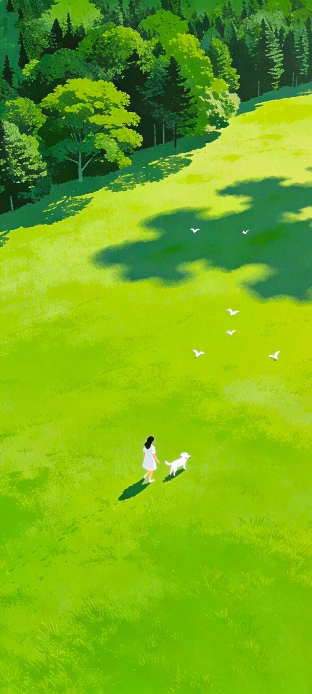 随手一拍的花有多美