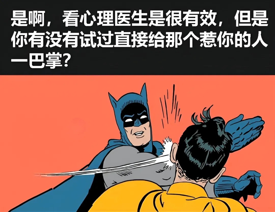 暴力不能解决问题但是解气 meme  / 