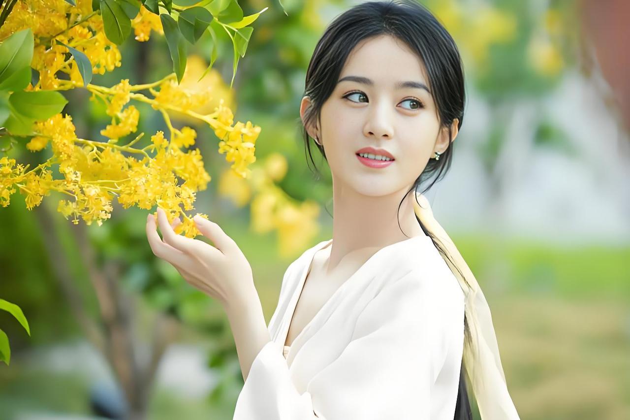 如何利用一句话来形容赵丽颖从河北廊坊农村走出来的草根姑娘，曾是横店跑龙套的“丫鬟