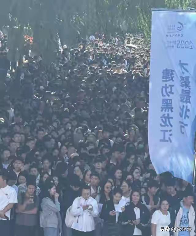 以前总听人说“本科不如狗，硕博满街走”，我还觉得是夸张，亲眼看见才知道这话多扎心
