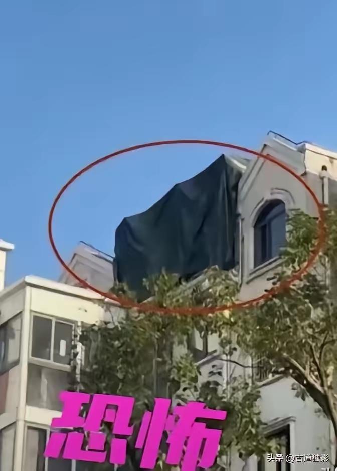 看到上海这桩新闻，我后脊背也是一凉。
​邱先生随手举报小区23号楼顶的违建，结果