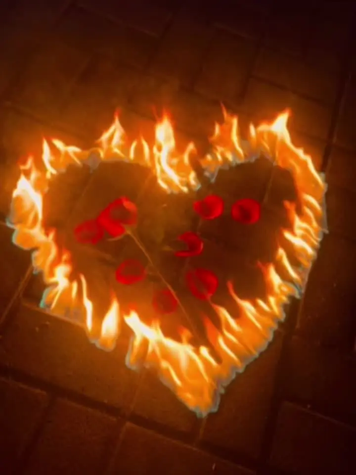 我有一本日记，只会在流泪时提笔- 你总以为我在妥协，其实我在和你告别