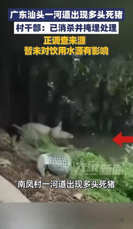 5 月 9 日，广东汕头潮阳区一个村子炸开了锅，村里的河道一夜之间变得面目全非，