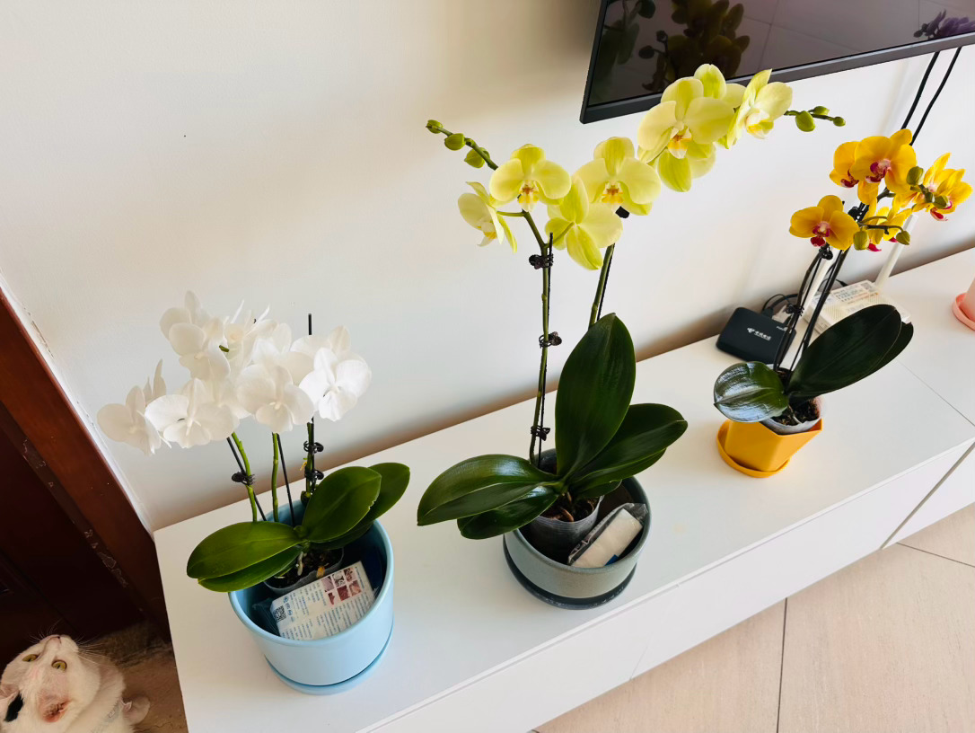 女人最大的阻碍就是“女”本身。 