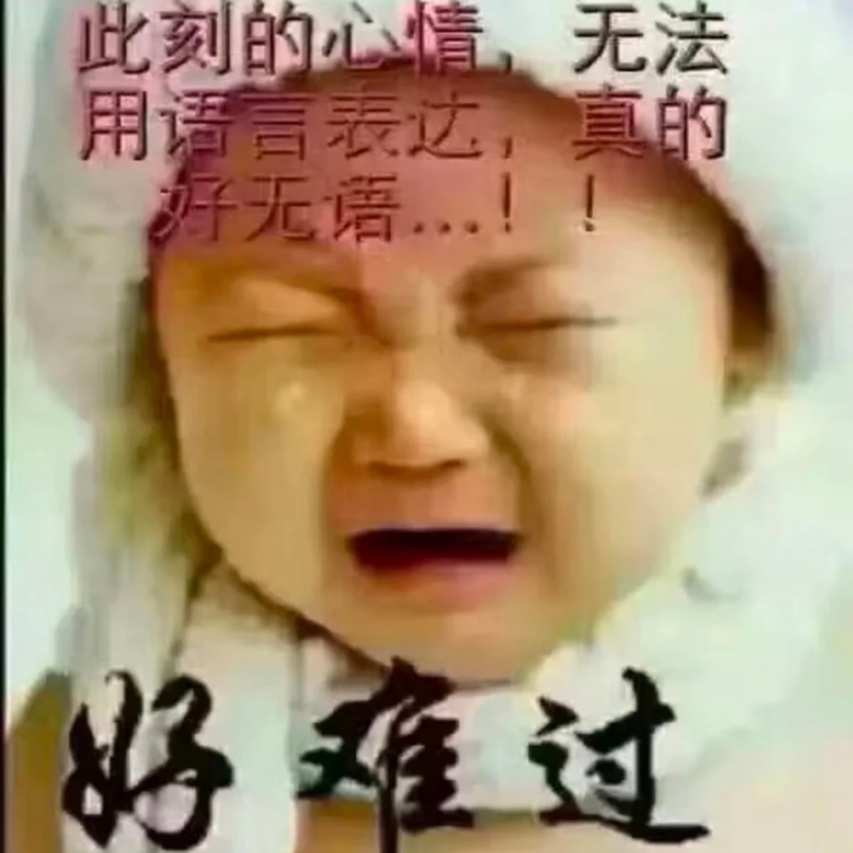 分享图片 