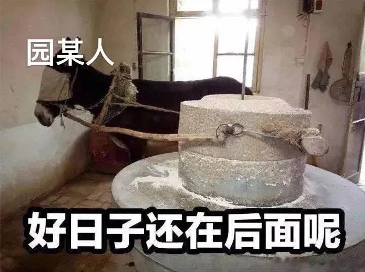 我本来应该是明天，今天突然提前大姨妈了，一天工作日都不占用，真是天生拉磨的好命[