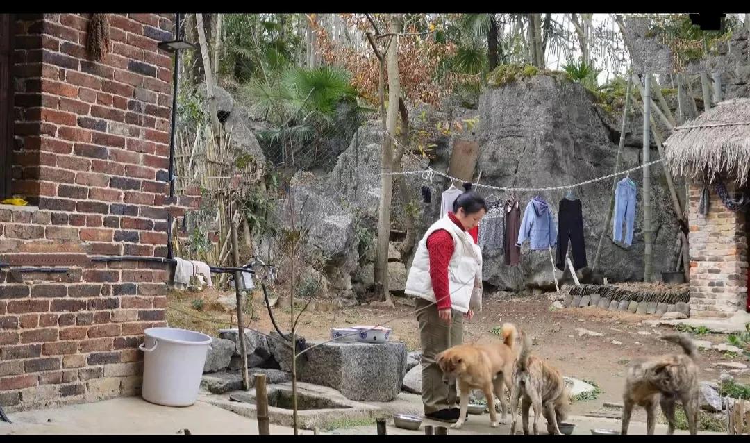 年越来越近，可日子还是这样过着，和平常没有什么两样，只是偶尔会听到附近的村庄有小