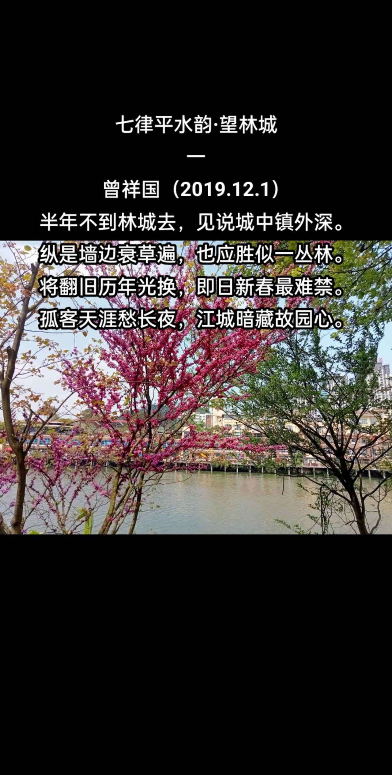 望林城（一）
