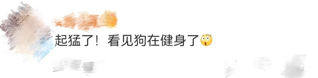 起猛了看见狗在练肌肉笑喷！《老人与狗》这狗成精了吧！看见狗在拖地，还会精准扔垃圾