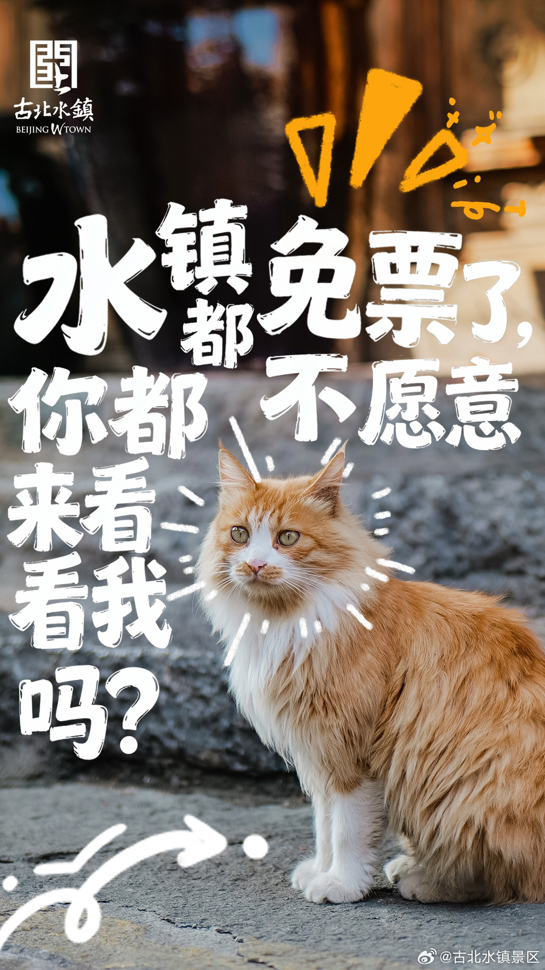 🐱古北水镇飘雪啦！12月全月免票，本喵等你来踩雪～喵～ 古北水镇今天飘起漫天大