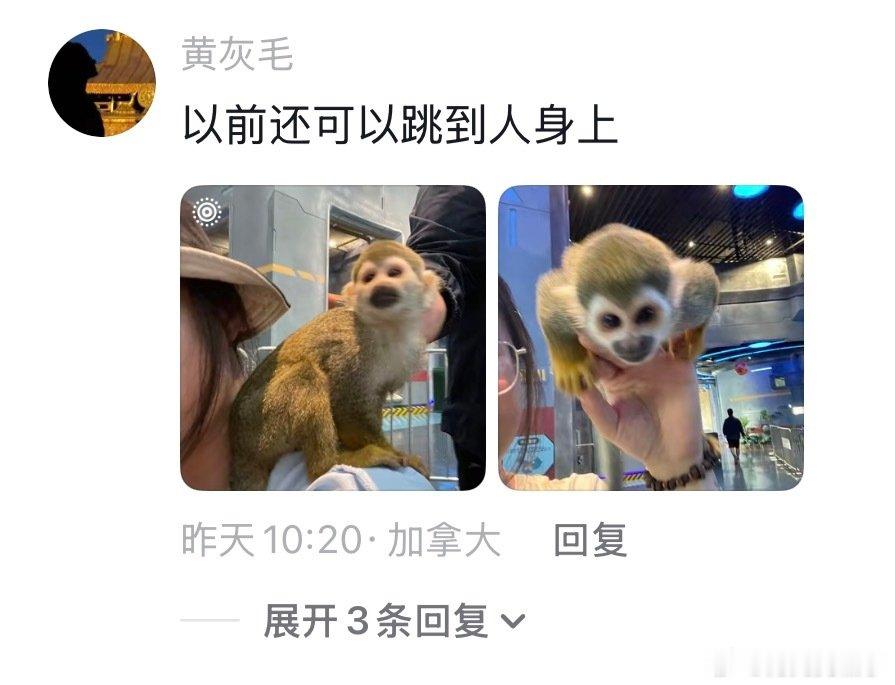 这才是动物表演该有的样子 （