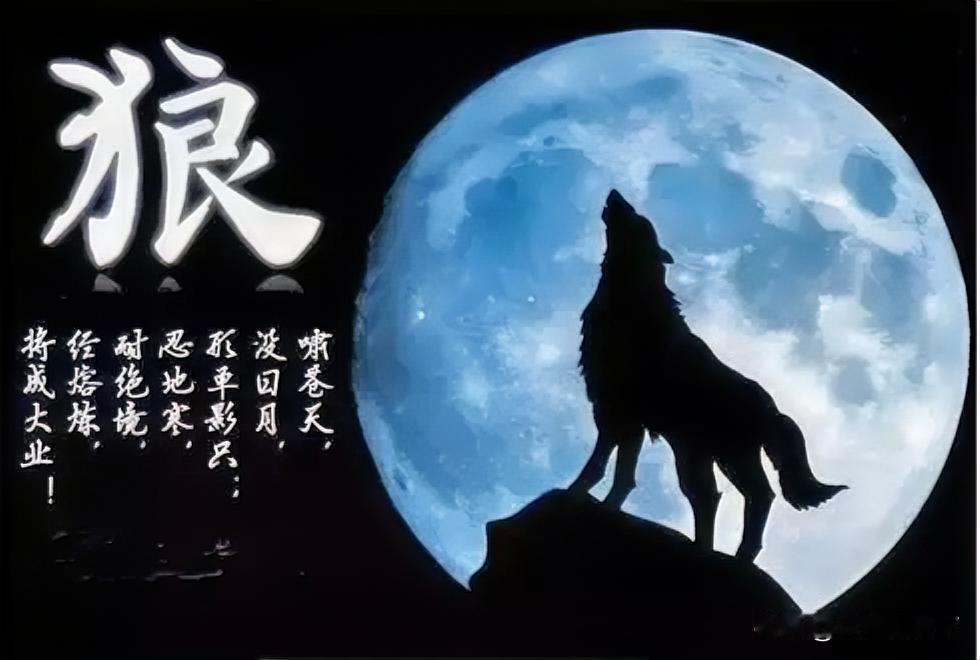 狼咬人，是为了活命；
人咬人，是为了私利。

狼群争王，明着撕咬；
人群争利，暗