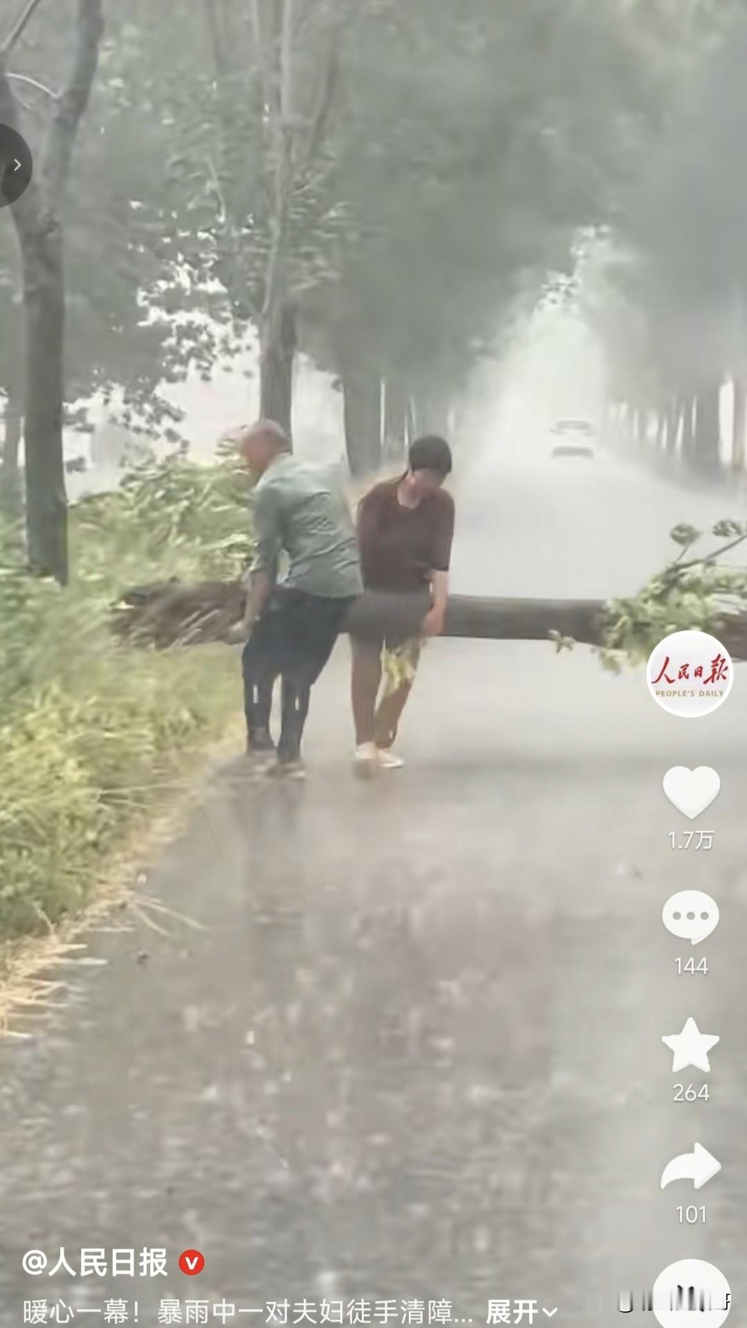 暴雨中这对搬移倾倒树木的夫妇上人民日报了，但恶心的评论却也随之而来，很多人在感慨
