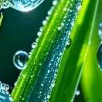 感情，不能敷衍，人心，不能玩弄，缘分，不能挥霍，把情当情，才有真感情，平等互爱，