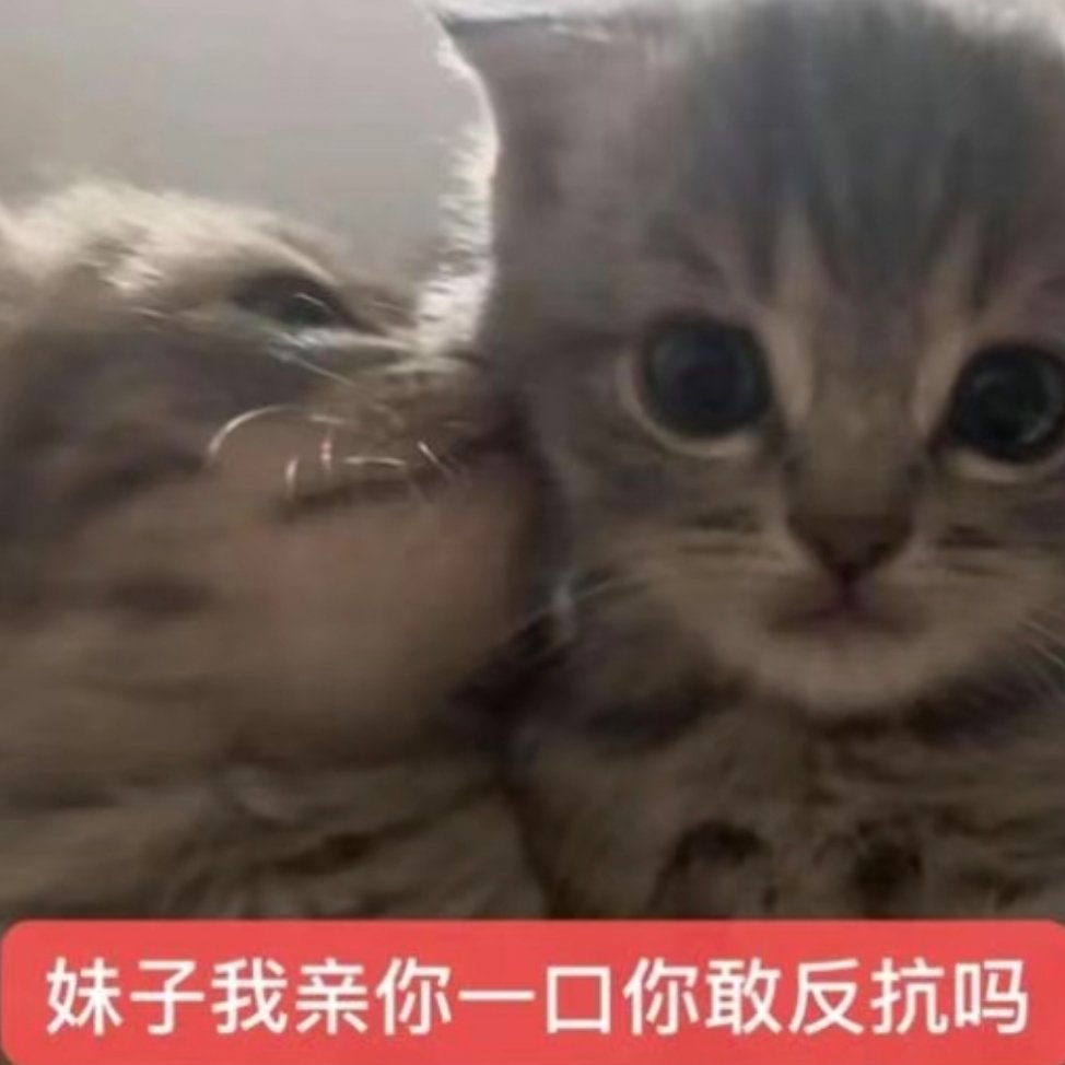 分享图片 