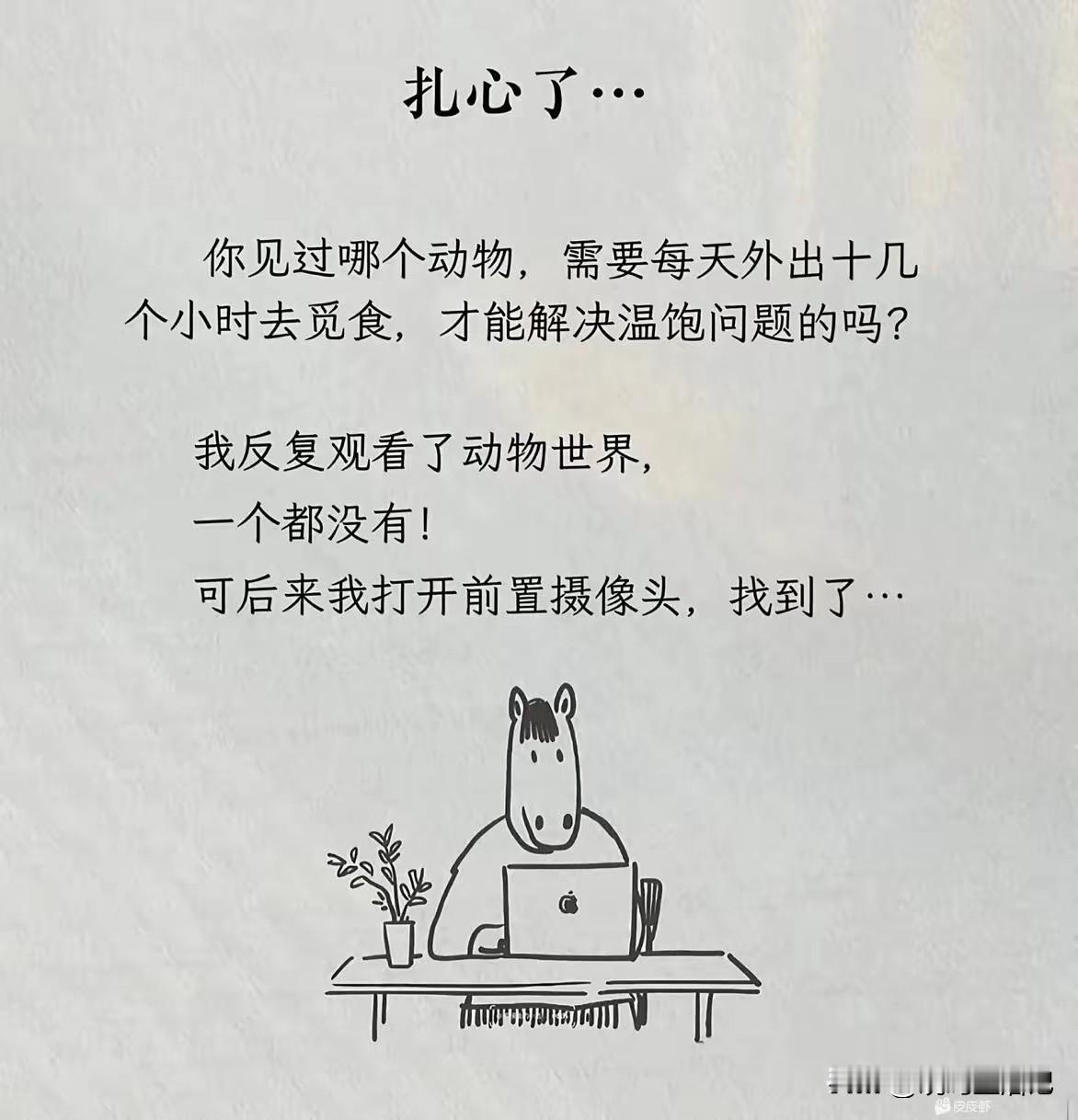 有比人更辛苦的动物吗