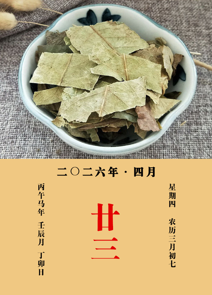 每天一味中草药 甄权说：枇杷叶，清肺和胃，降气化痰。治肺气热嗽及肺风疮，胸面上疮
