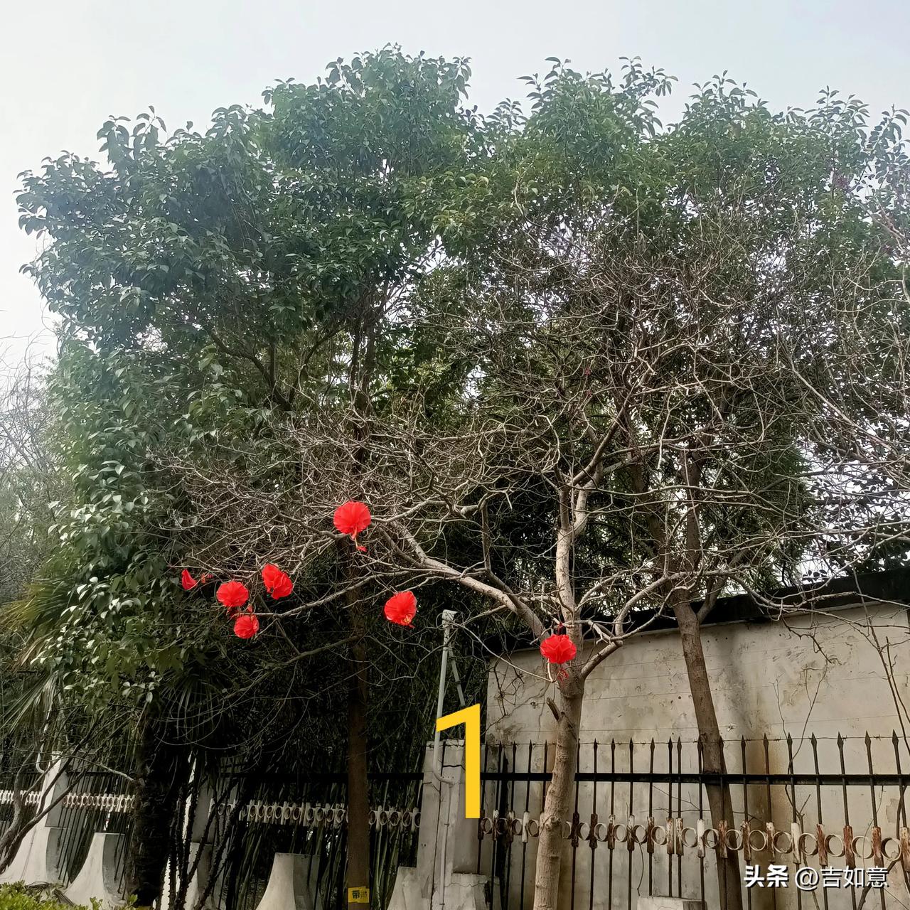 奇了怪了，图2的那片红，有可能是像图一那样的灯笼变的吗？
难道是风儿的魔法[wh