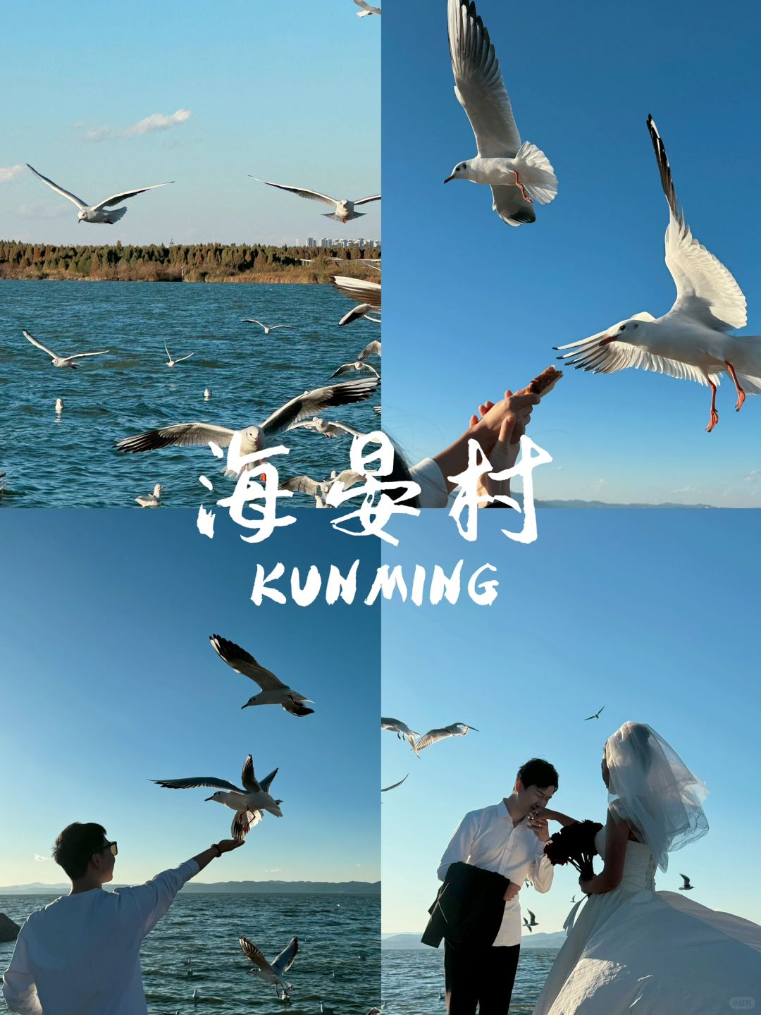 昆明旅游建议‼️一定要来这里👀日落🌅
