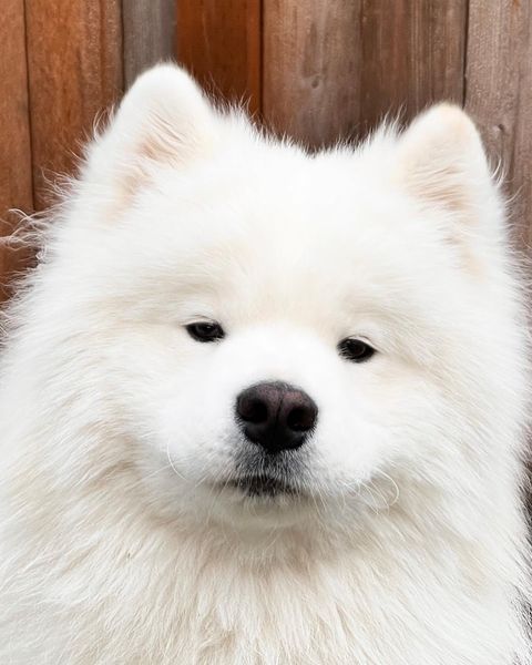 小熊困了，晚安耶💤 