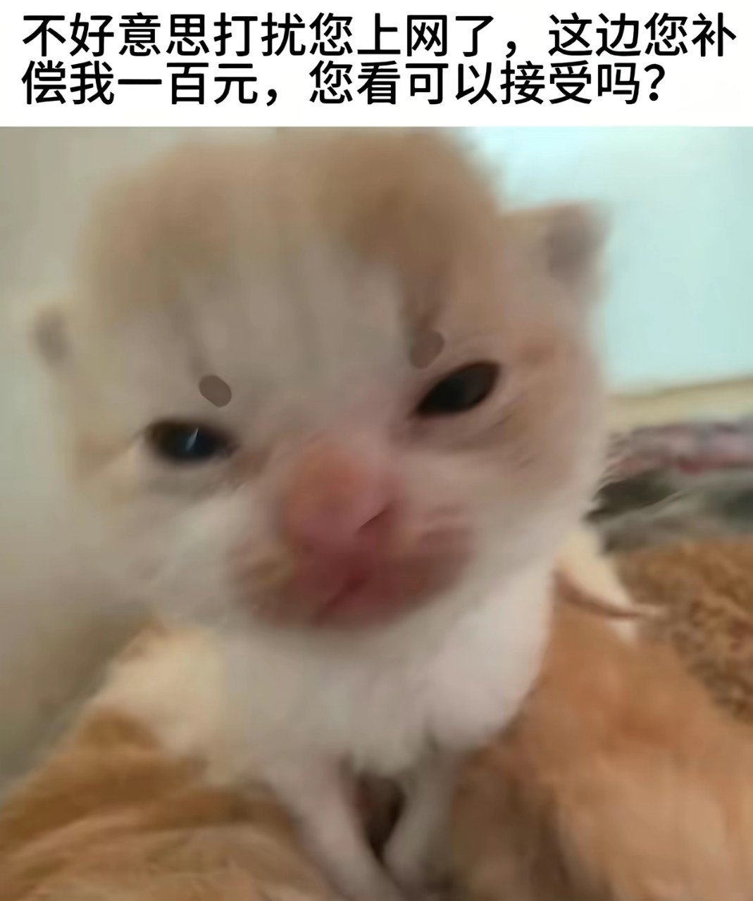 您好 ​​​