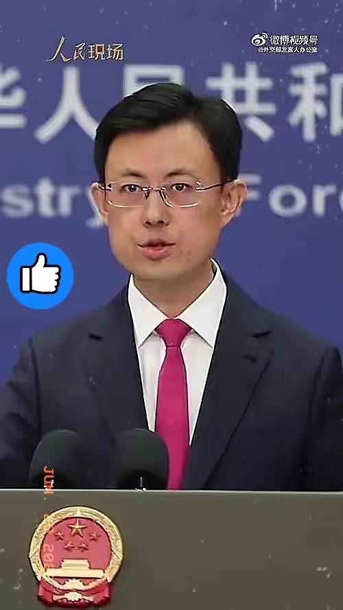 中国外交部正式宣布，6月29日，中国外交部正式对外宣布：中国政府决定，在之前已经