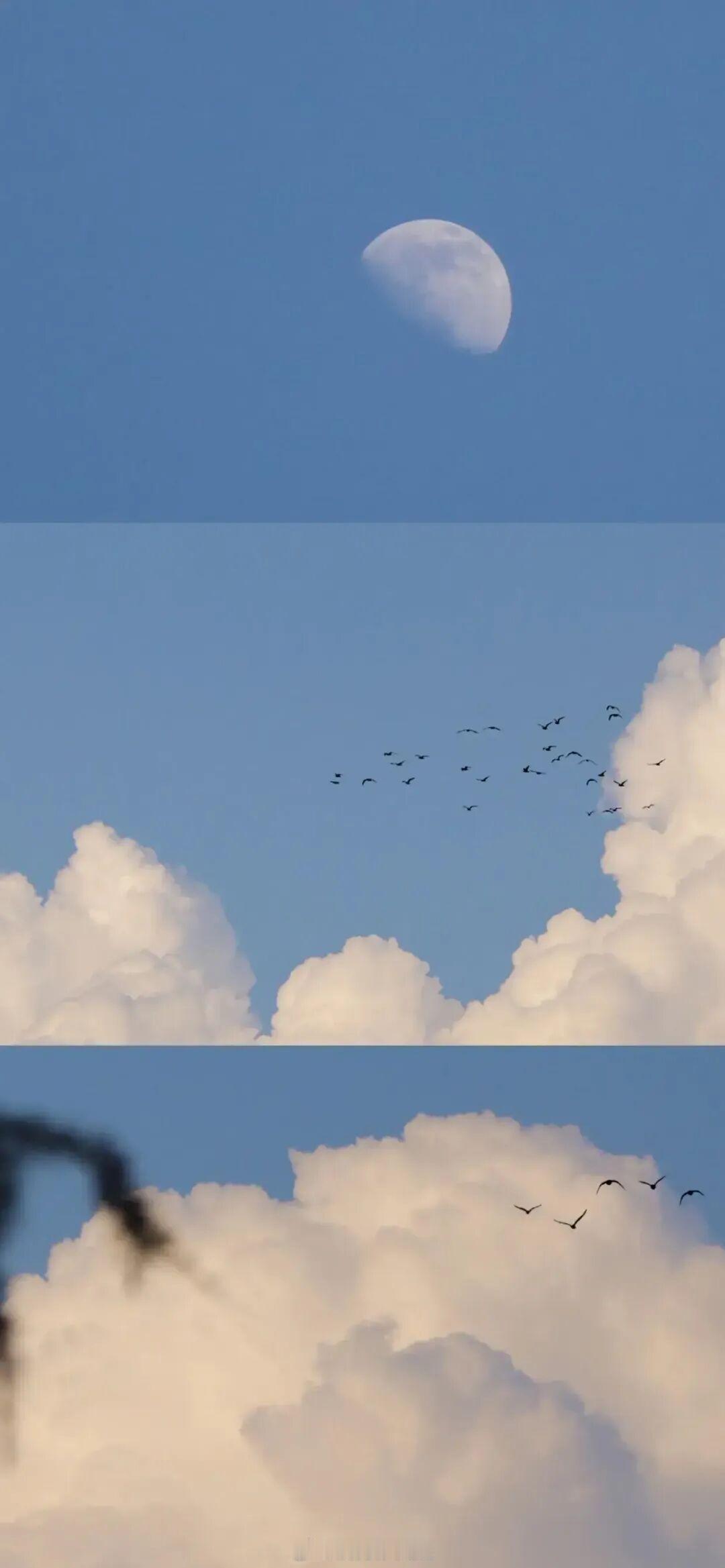 我想到爱竟会是徒劳的，彼此有好感的人们，却各不相干地按自己的命运生活着，人人都有