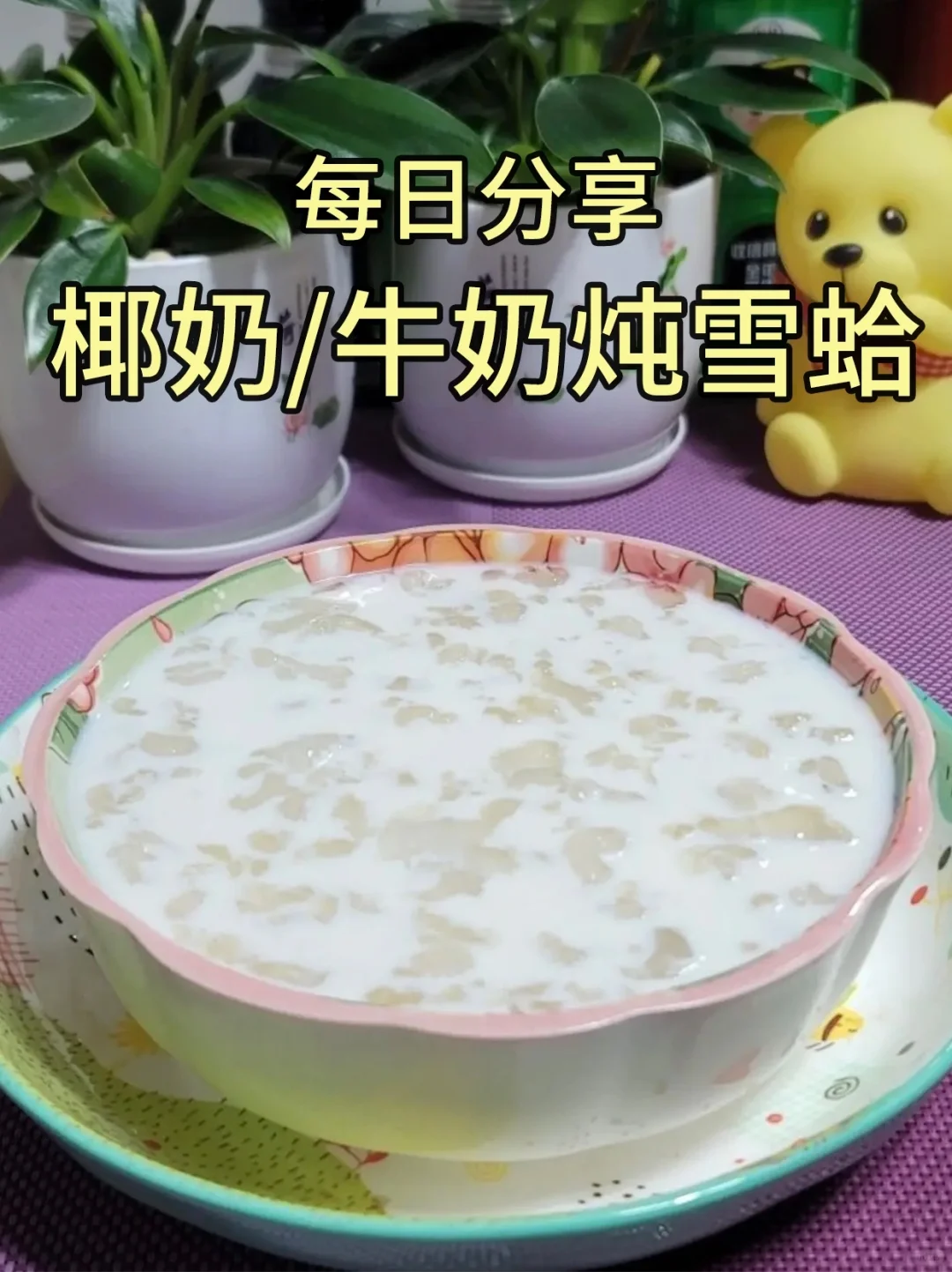 每日分享——牛奶/椰奶炖雪蛤