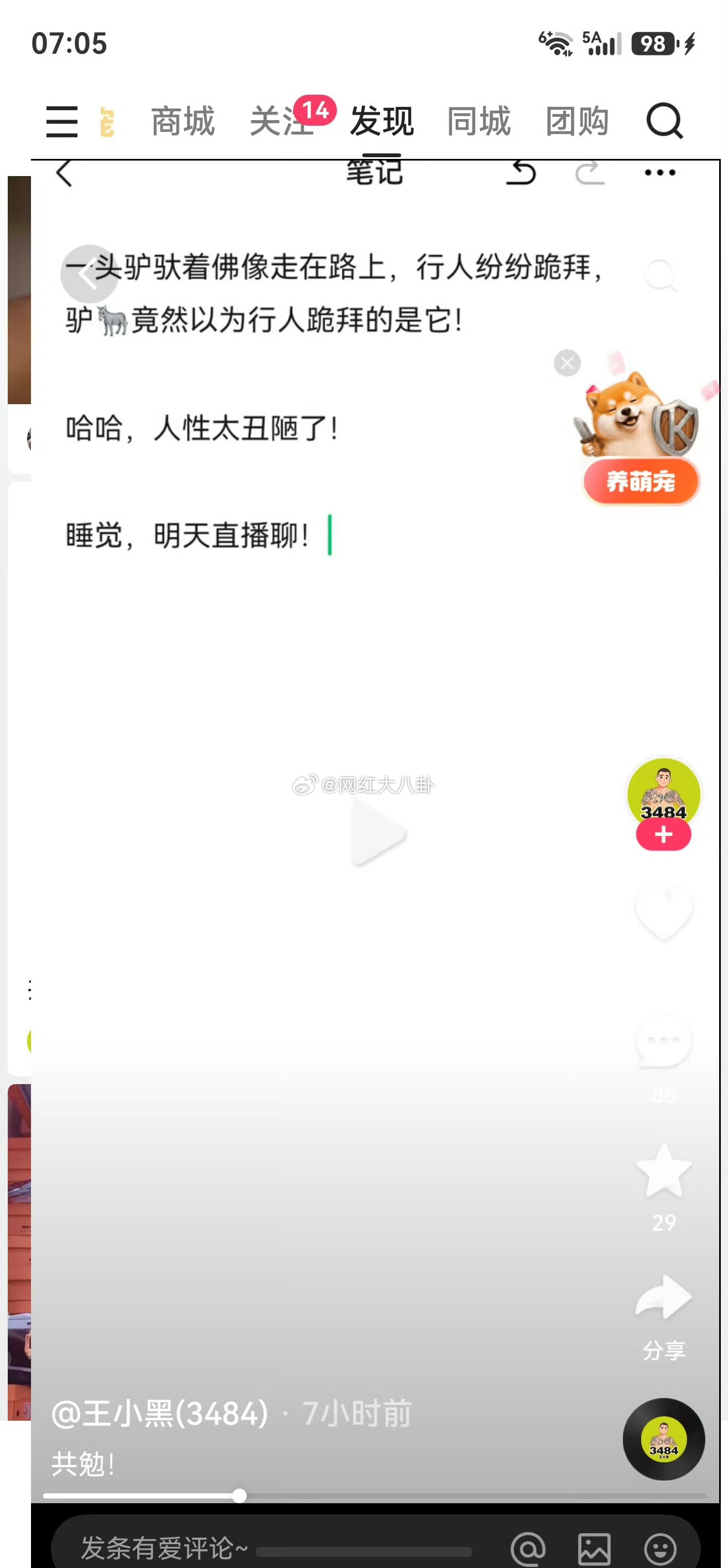 仙家主播王小黑和高忆晨也站位巴扎黑！