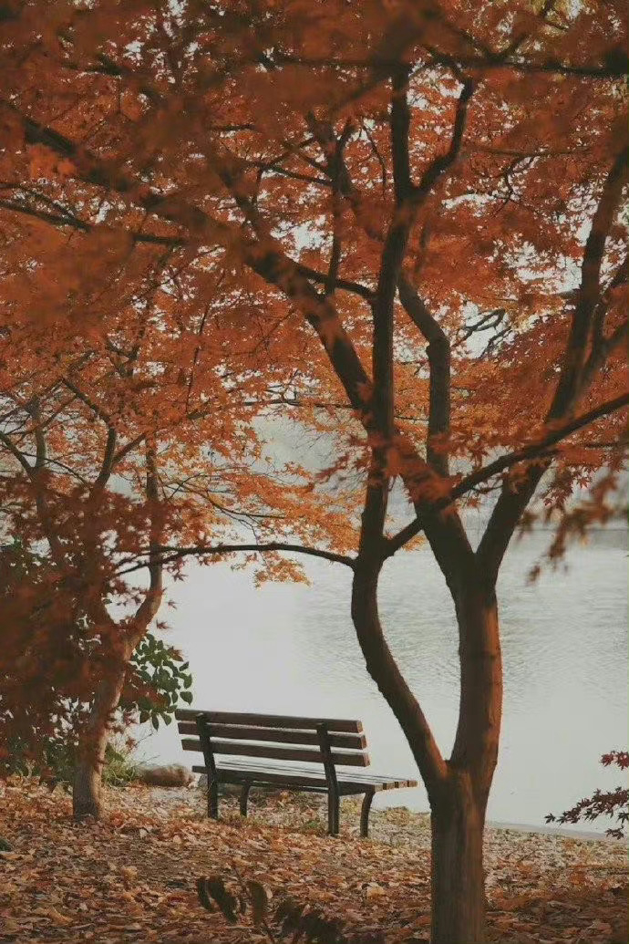 生活有一点我不是太喜欢，就是它总让更懂事的人，来承担糟糕的感受和结果。 