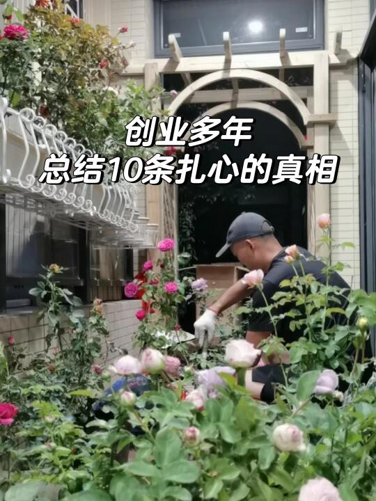 创业多年，总结10条扎心的真相