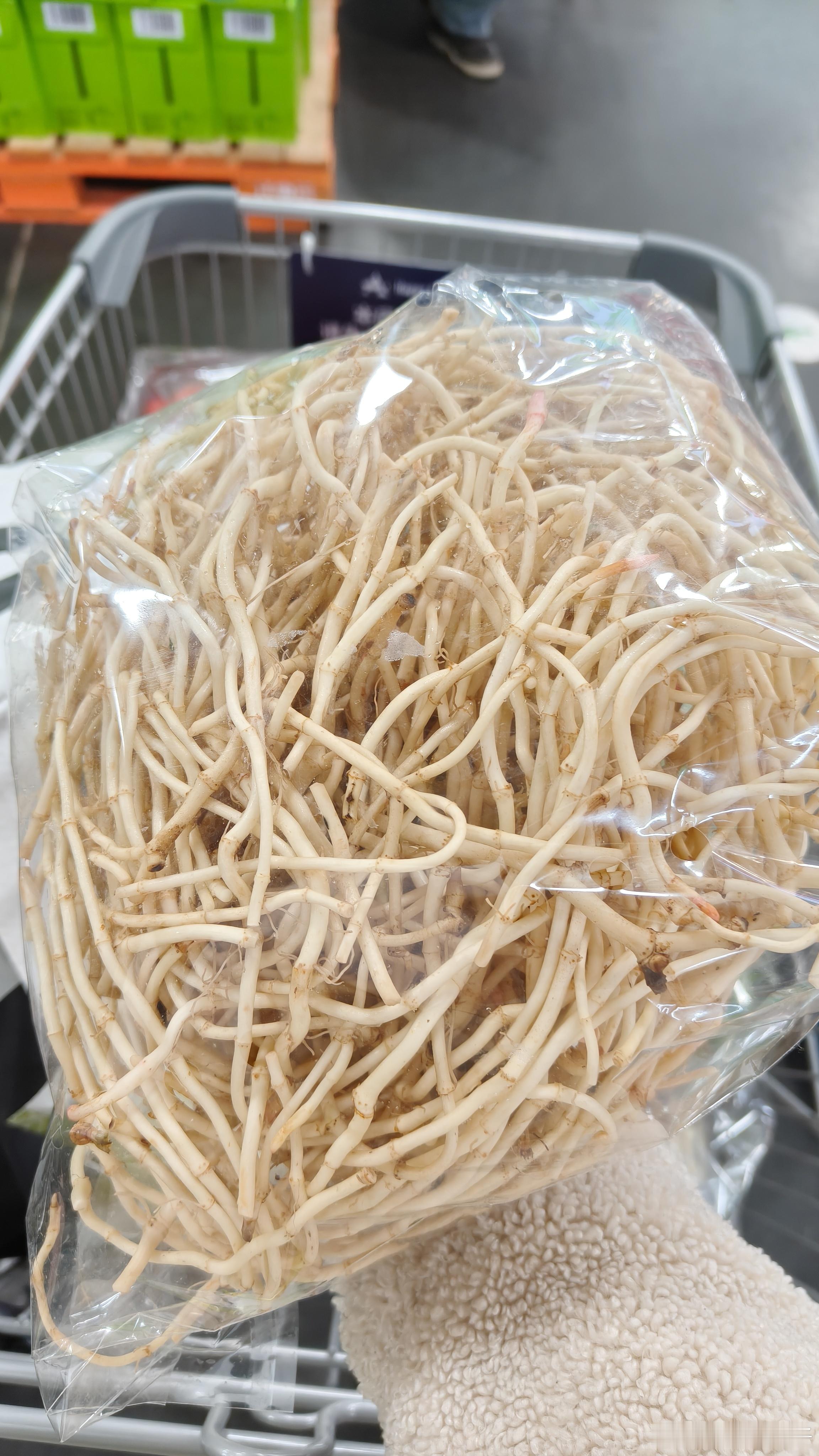 如获至宝！头回在沈阳遇到折耳根，这一大包9块钱，够我过年吃了家人们先看。大金子状