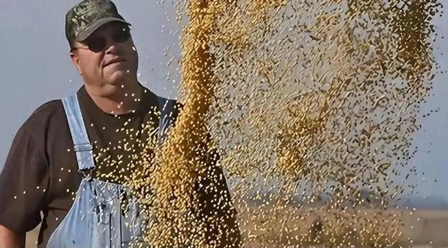 [微风]200万吨大豆烂港！巴西赌中国离不开它，却忘了中国早握3张王牌。

在巴