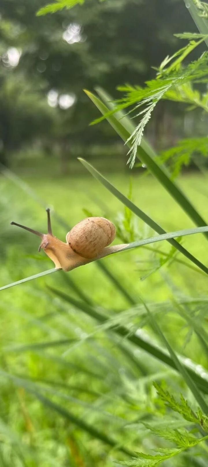 清晨物语！