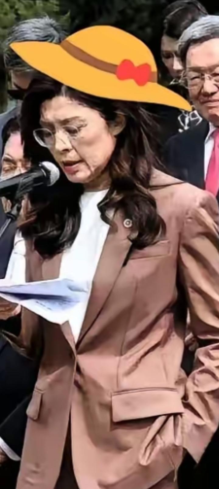 郑丽文猛打一个激灵，再不能一块石头绊倒两次。
拒见日本窜台代表团，总算保住了国民