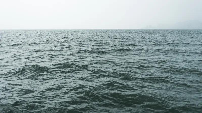 中国海水直接制氢获突破：向大海要绿氢，这次真的稳了！

朋友们，今天要聊一个听起