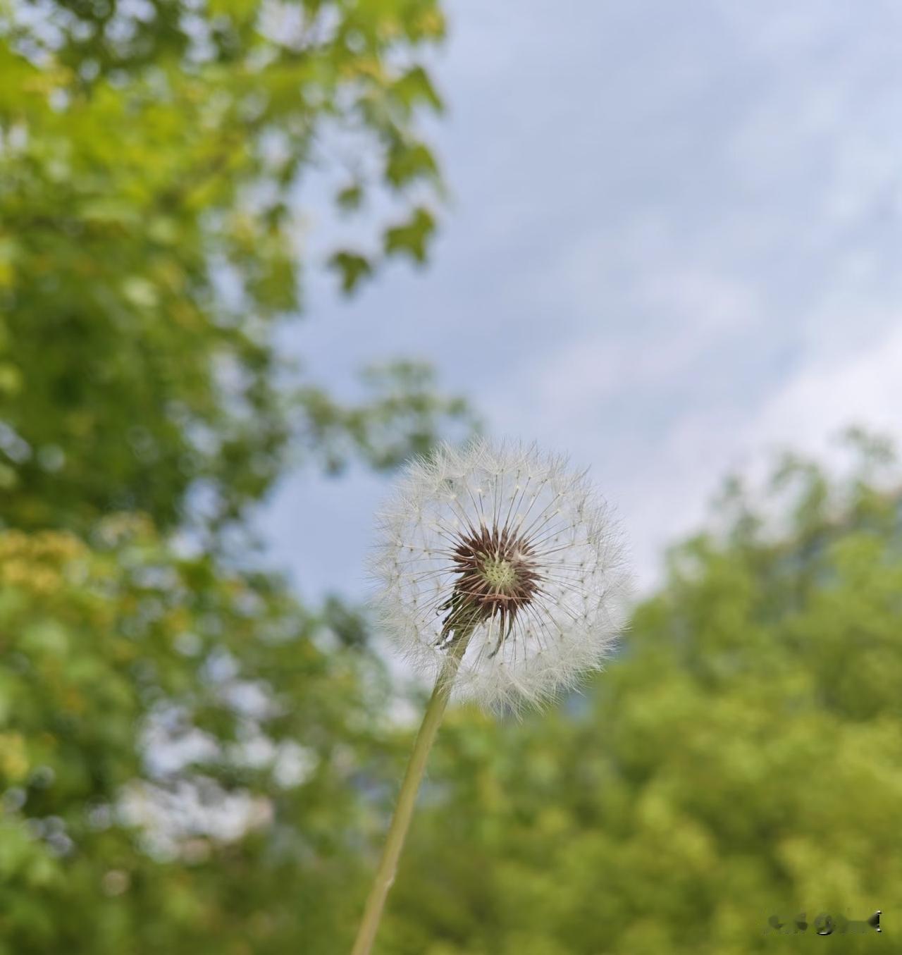 人在不同的时间，
想要的东西也不一样，
所以没有必须，
没有一定，
随心随缘就好