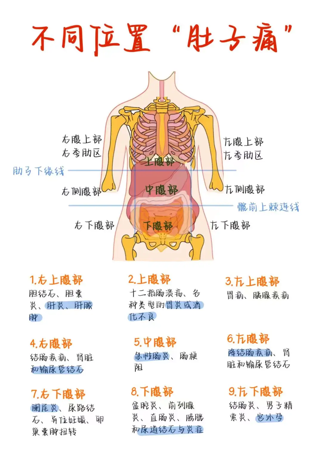医学生笔记——不同的“肚子痛”