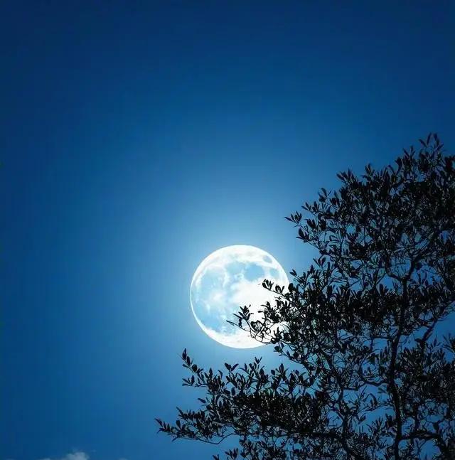 姐姐存钱被妈拿走，

全家劝归反失联，


弟弟婚后才懂后悔。
有个女孩存了八年