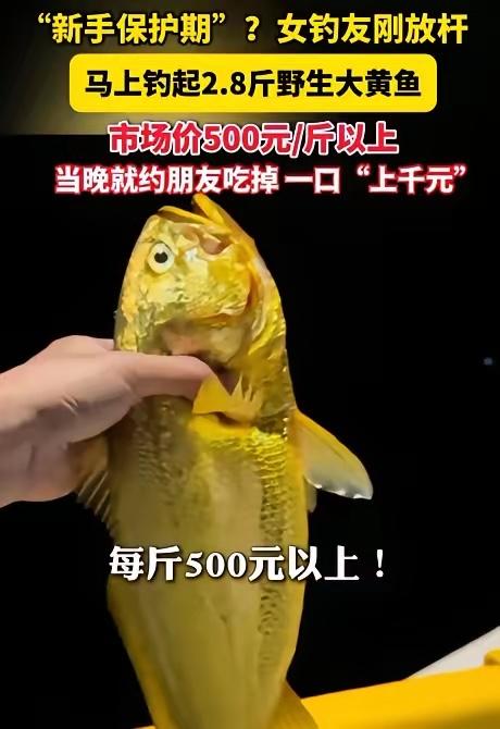 “这就是命啊”！浙江舟山，一女子是钓鱼新手，不料在出海海钓时，随手甩出去一杆，直
