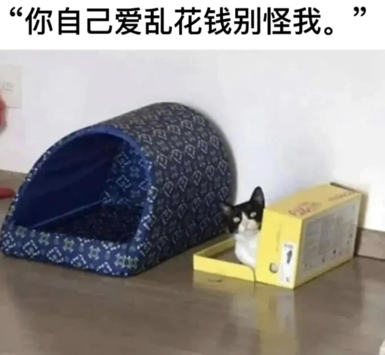没错，是这样的，你自己爱花钱[捂脸]